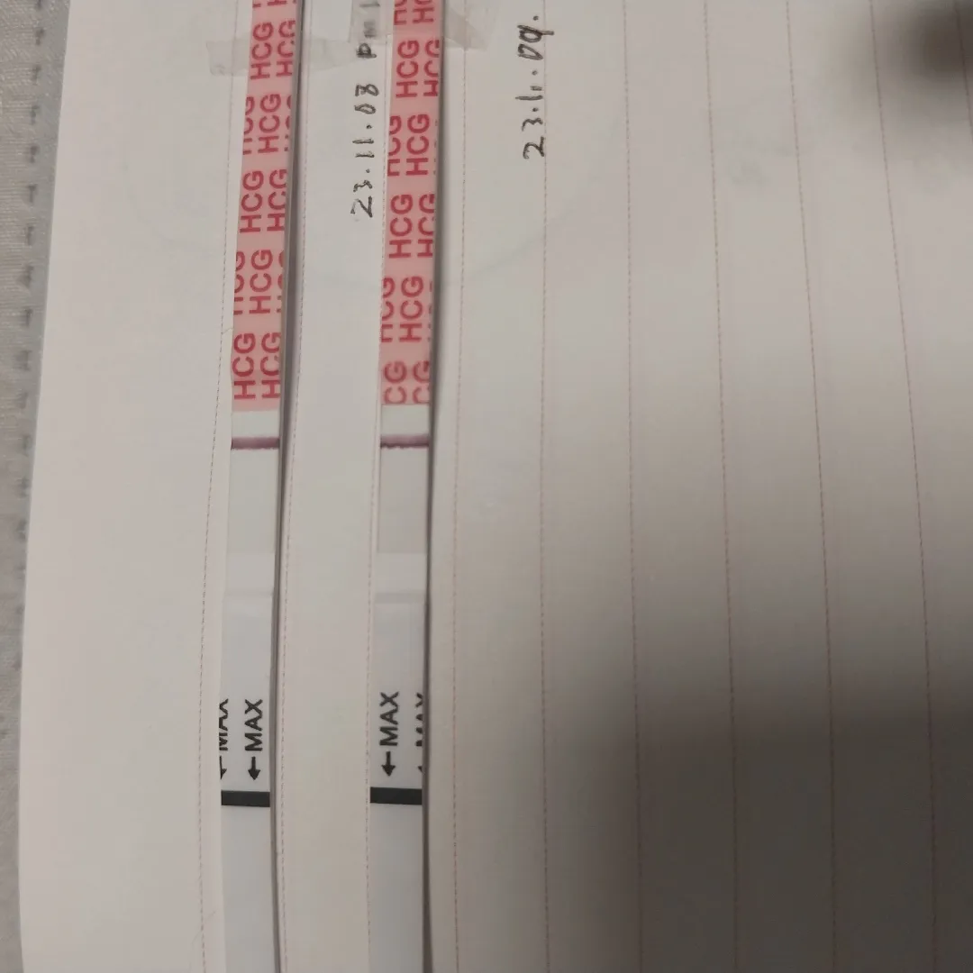 결국 못참고 또 임테기..