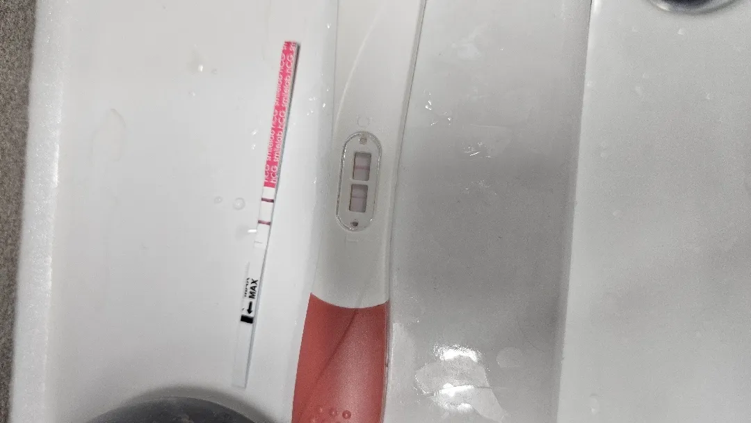 새해 새벽 2시 반에 임테기 두줄확인;;