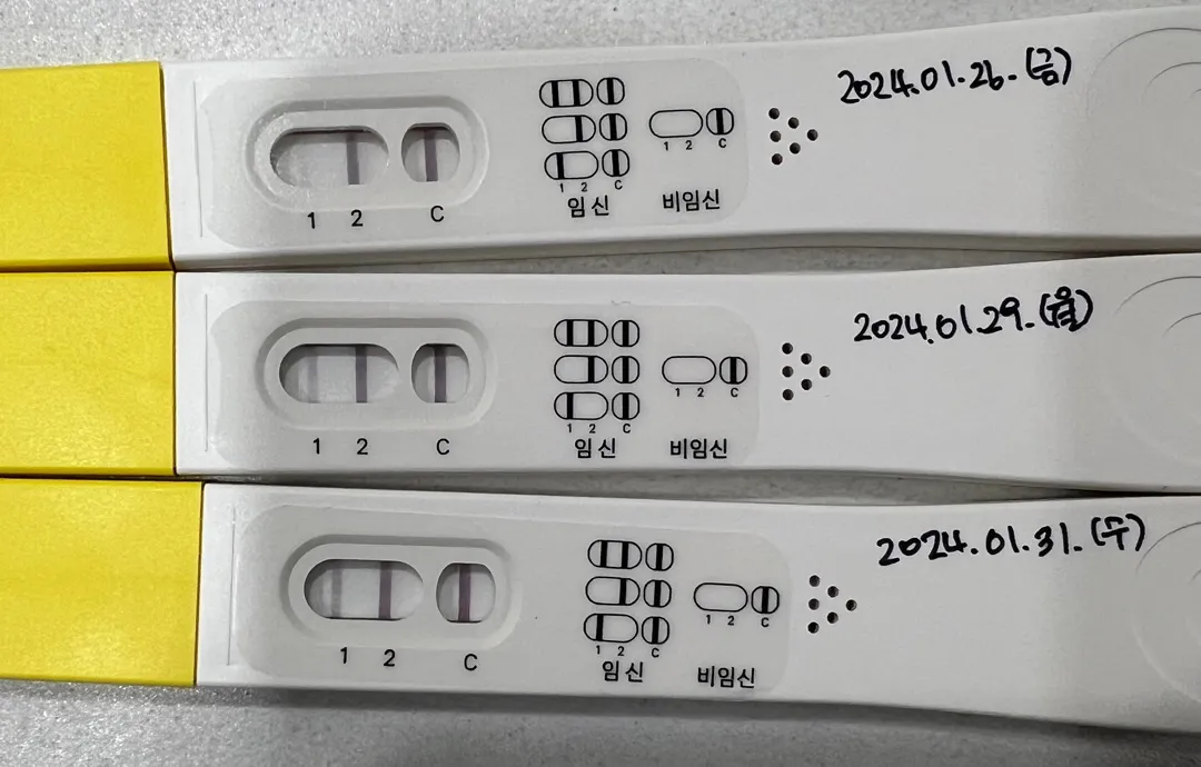 파이널 임테기