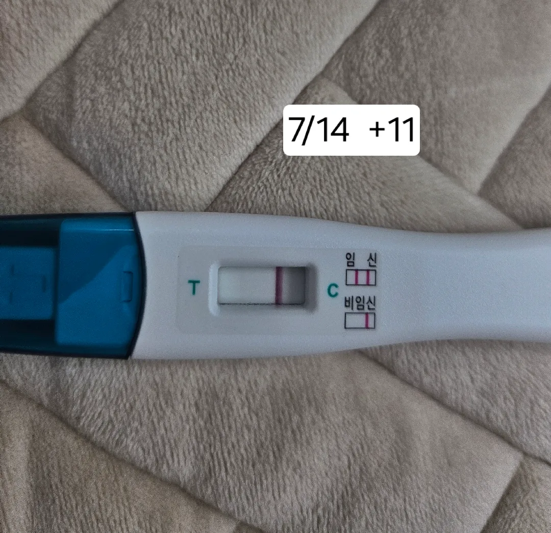 이게 가능한가요? ㅠㅠ