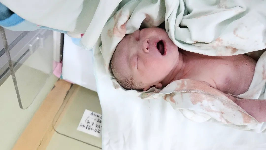 쑥쑥이 탄생