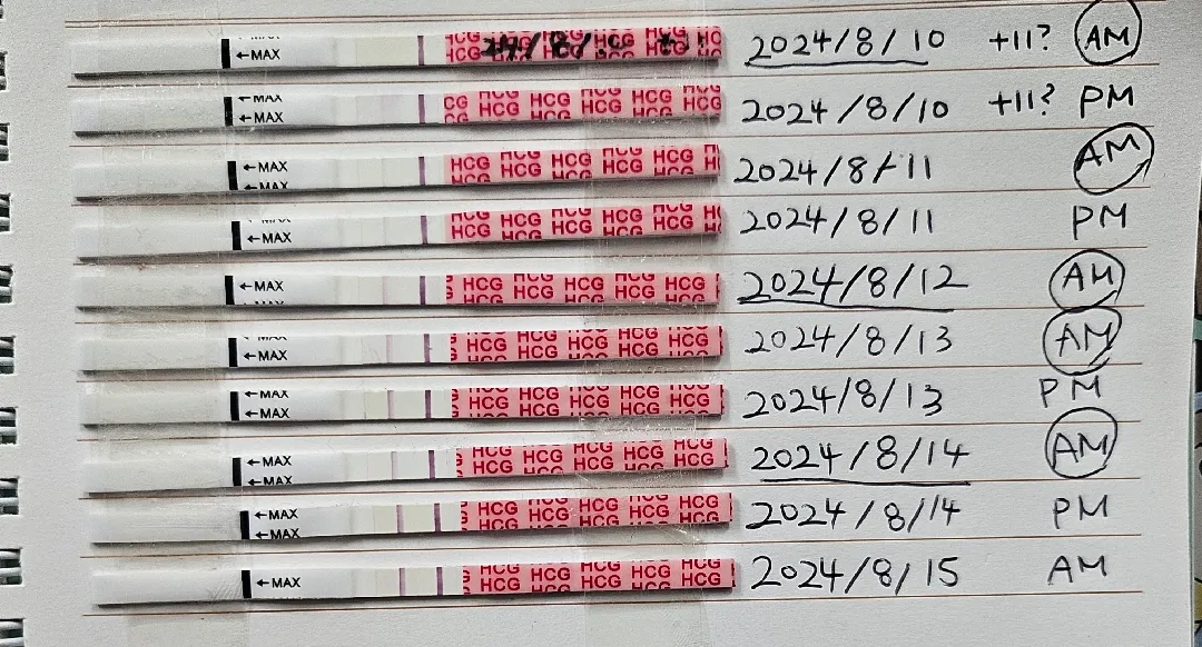 4주2일차 병원시기!