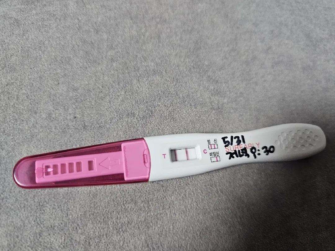 두줄나왔어요~