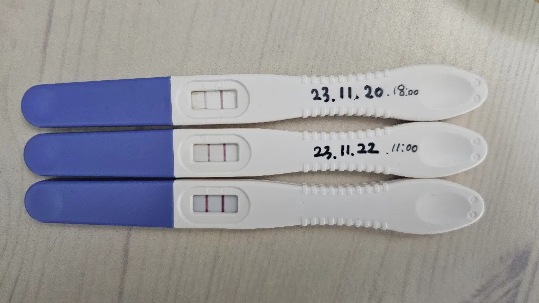 내일은 역전 하겠죠????