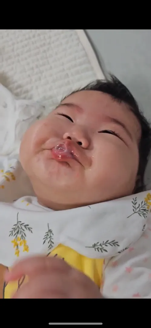 실시간 집 상황 즤집만 이러나요?