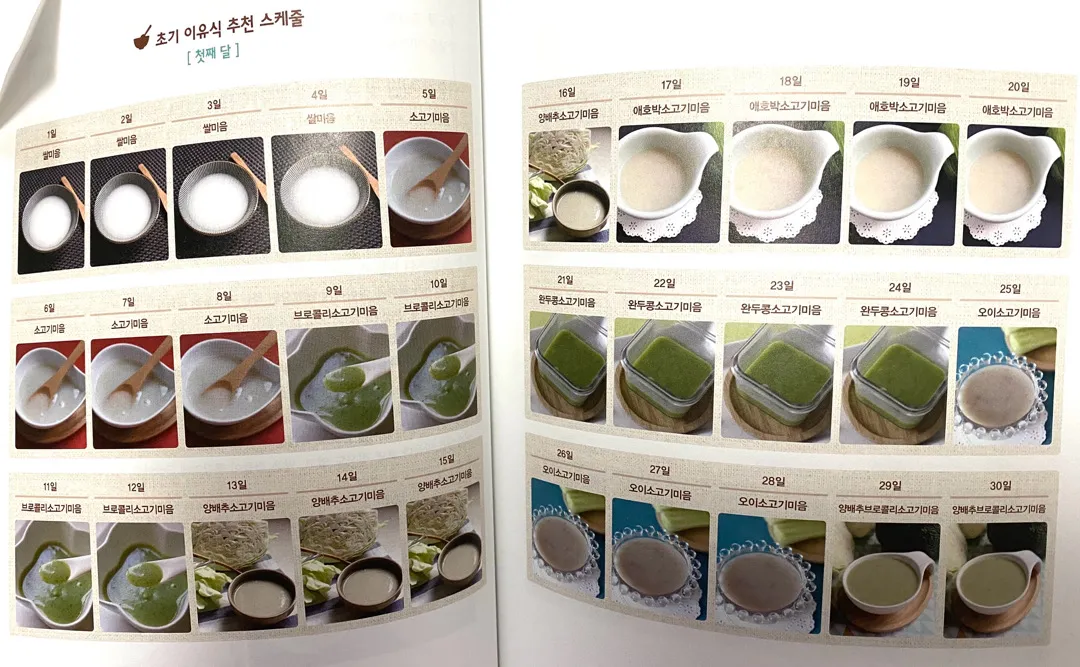 초기 이유식 식단표 공유합니당