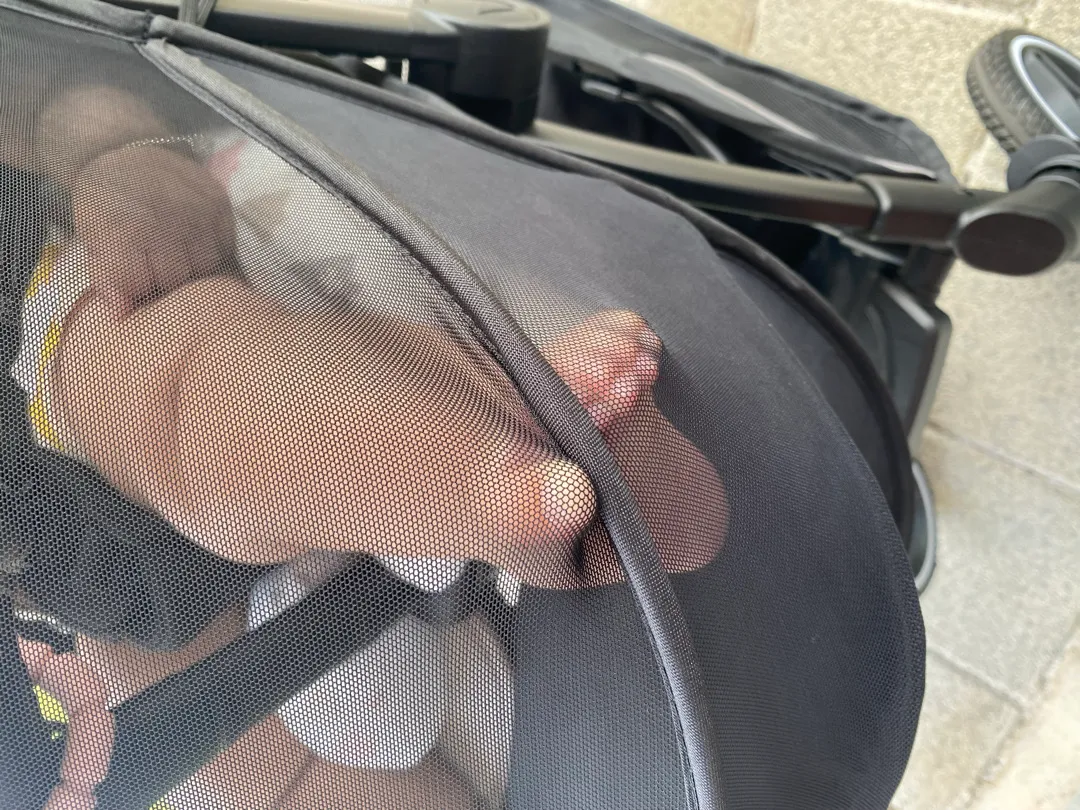 코감기와 전쟁