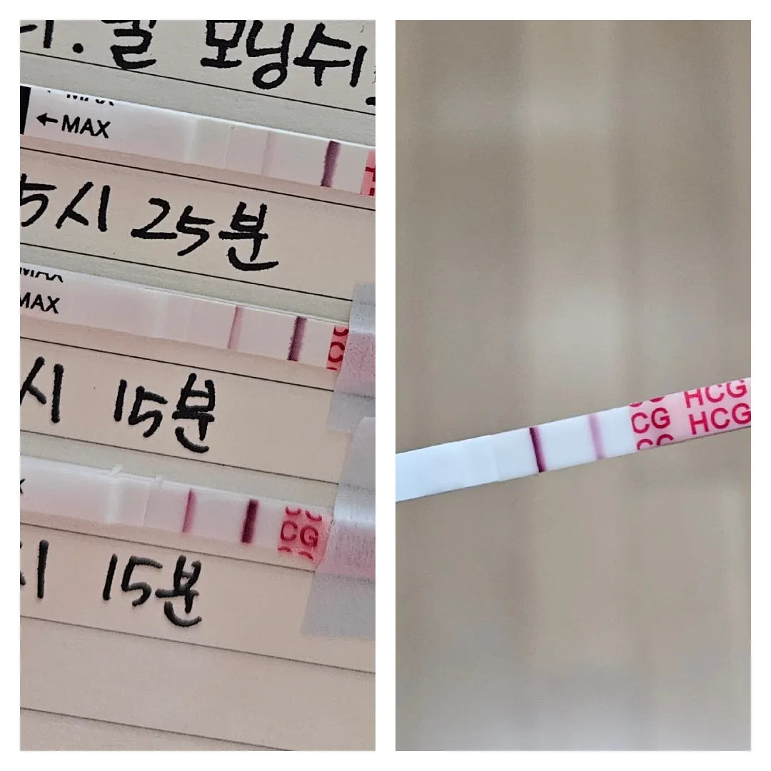오늘 병원가면 존재(?)를 확인할 수 있을까요...!!!?!