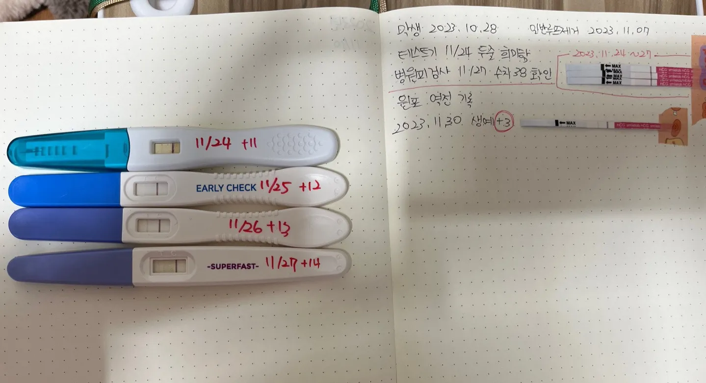 생예5일지났는데