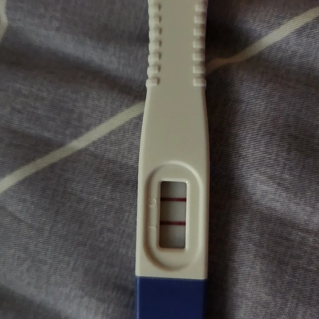 임테기5일째데 임신이확실한거맞죠?