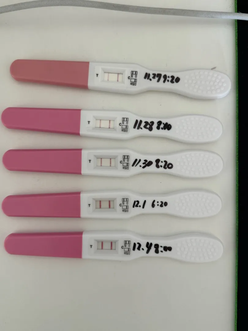 임테기 역전?