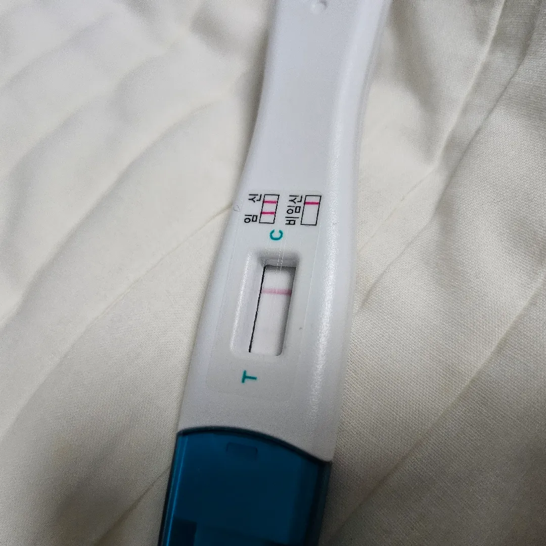 임테기 같이 봐주세요!