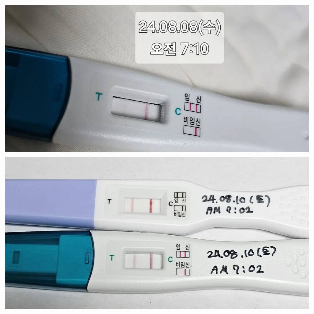 임테기가 이정도면 더블링된걸까요?