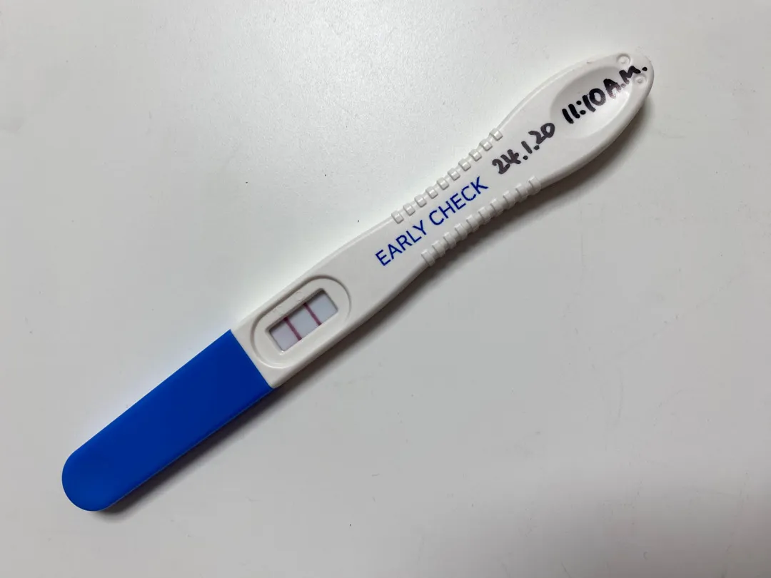 얼리 체크
