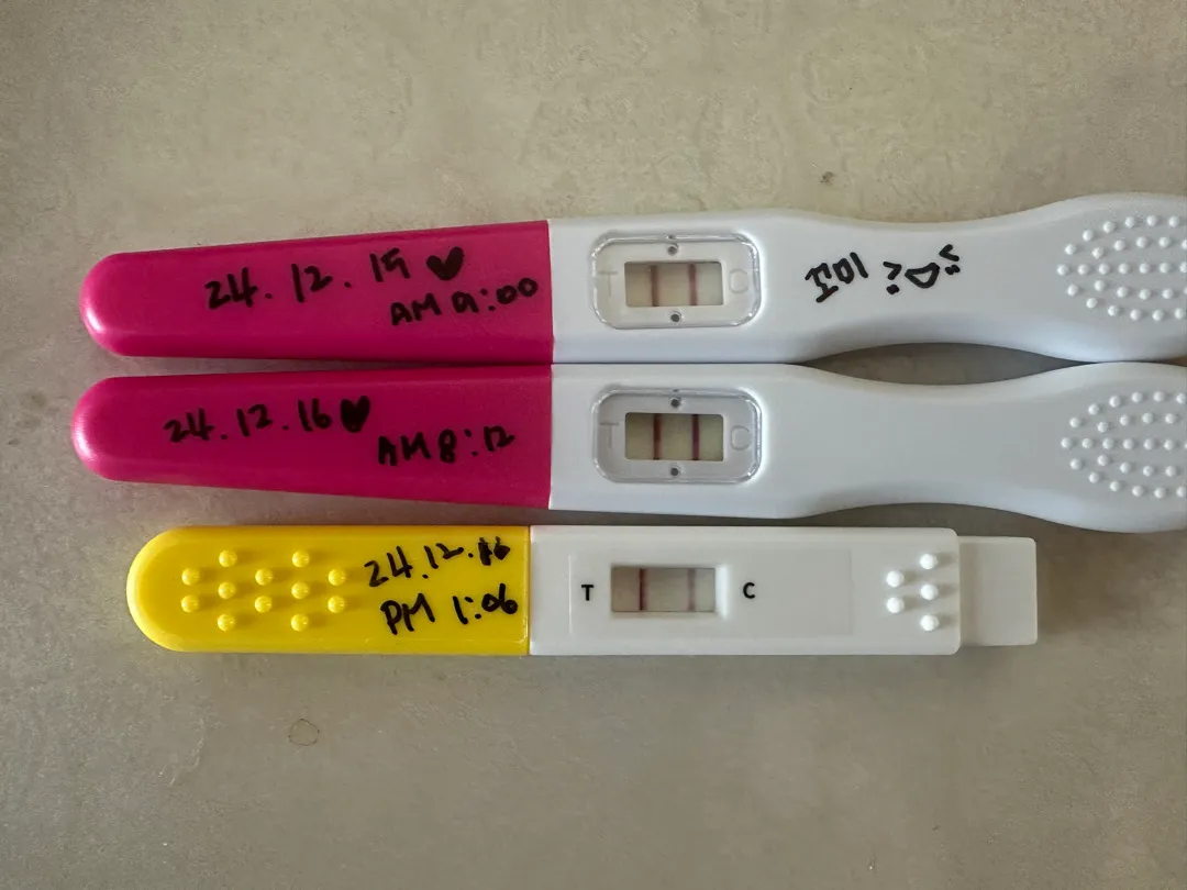 얼리와 일반 임테기 했어요 