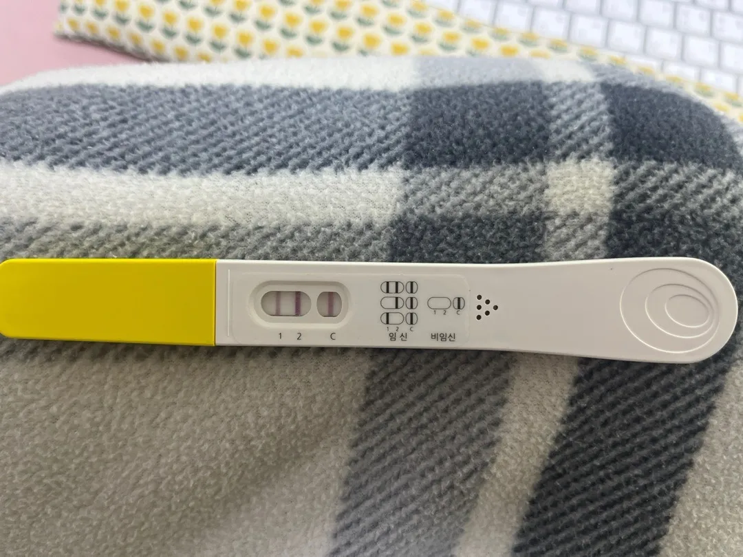 아기집 난황 보일까요?
