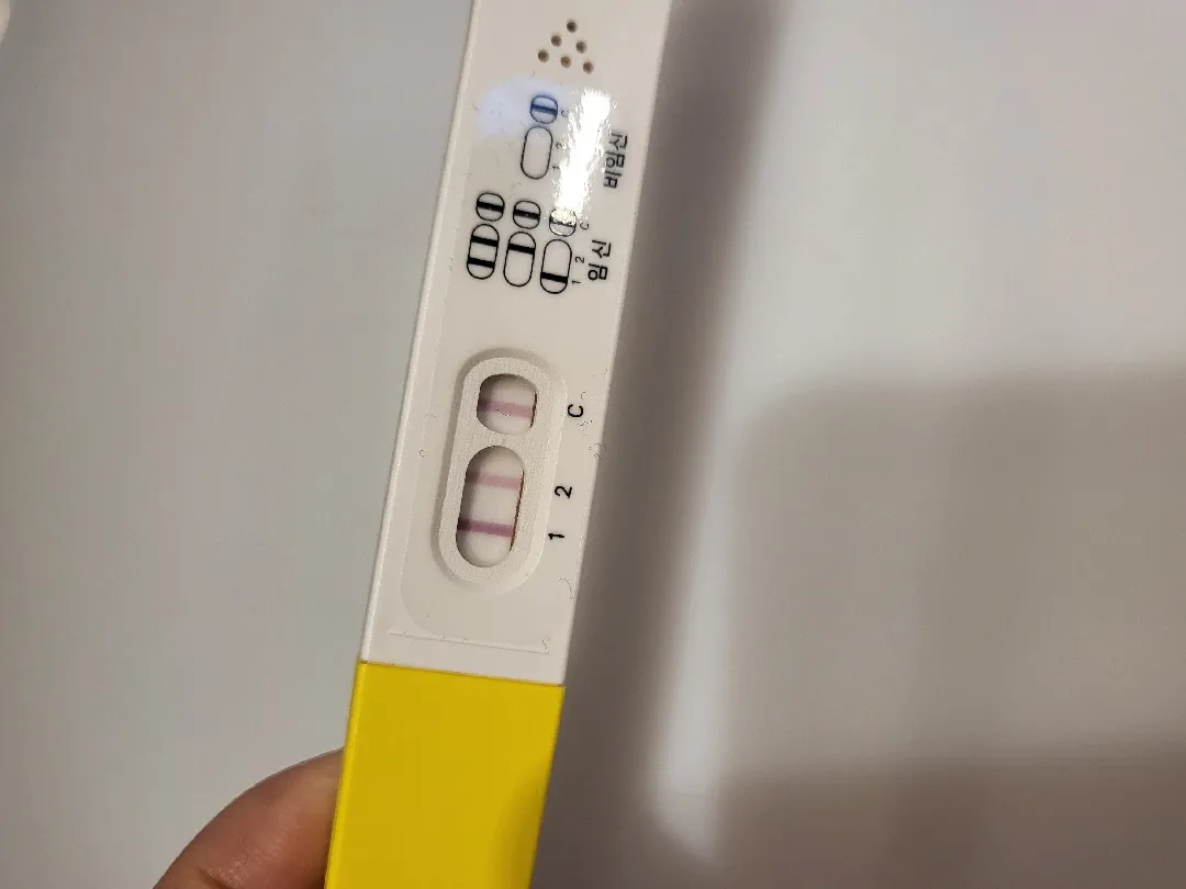 파이널체크 보는법