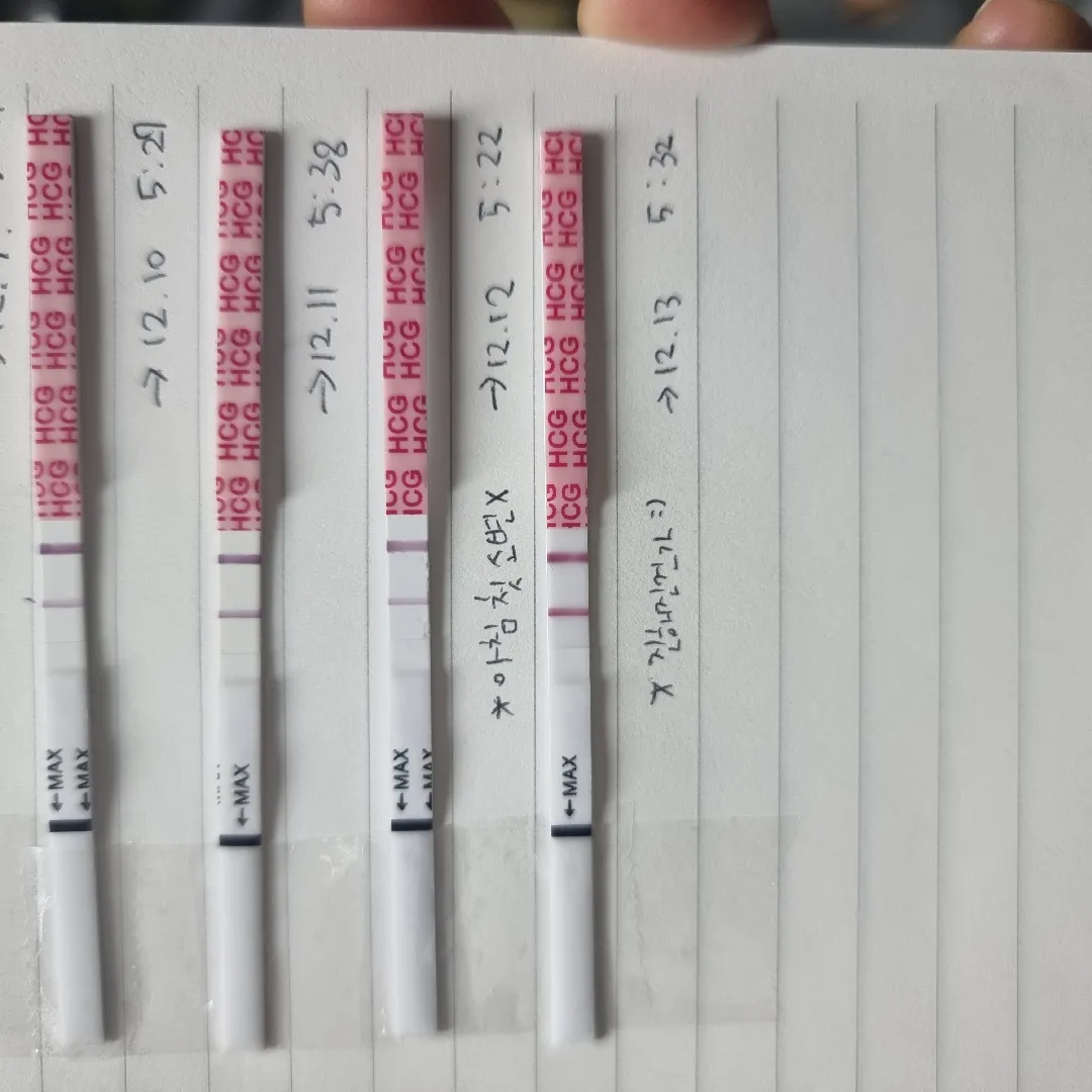 드디어 비슷하게 두줄이 나와요!