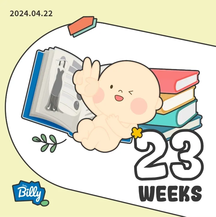 오늘차로 23주 들어섰어요!