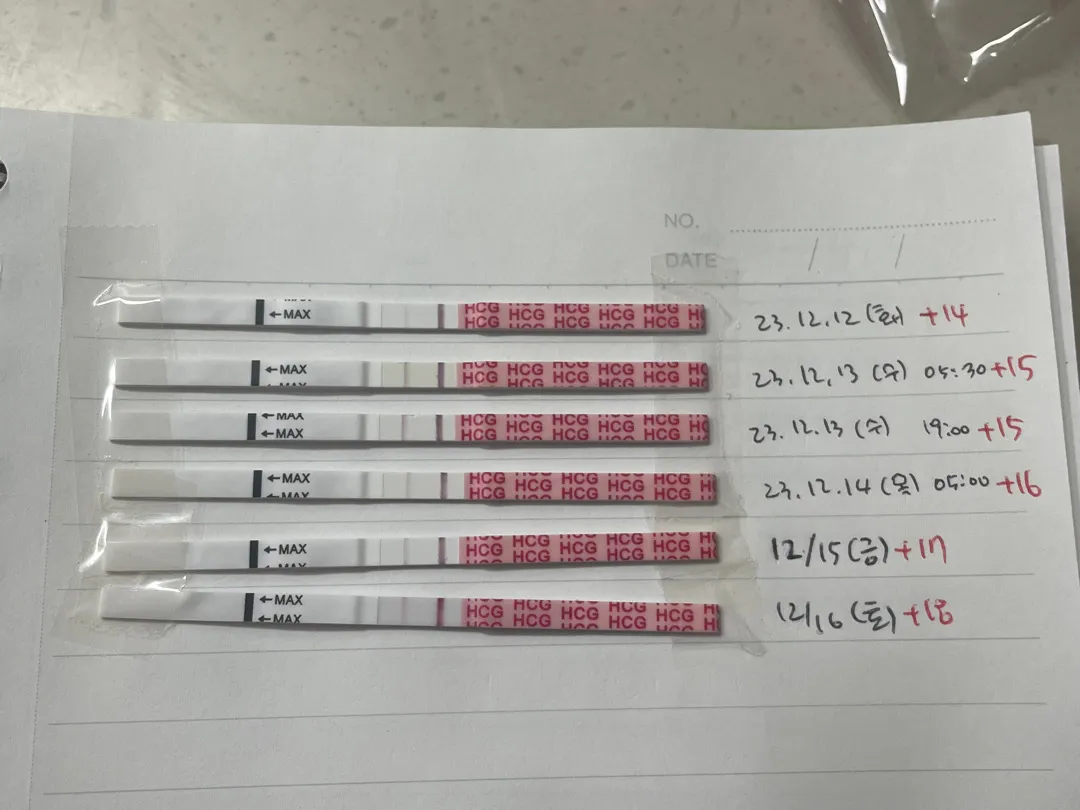 원포테스트 줄이 계속 연해요 