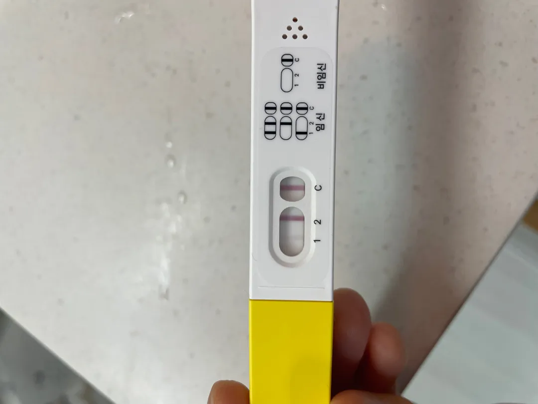 파이널체크 임테기 확인