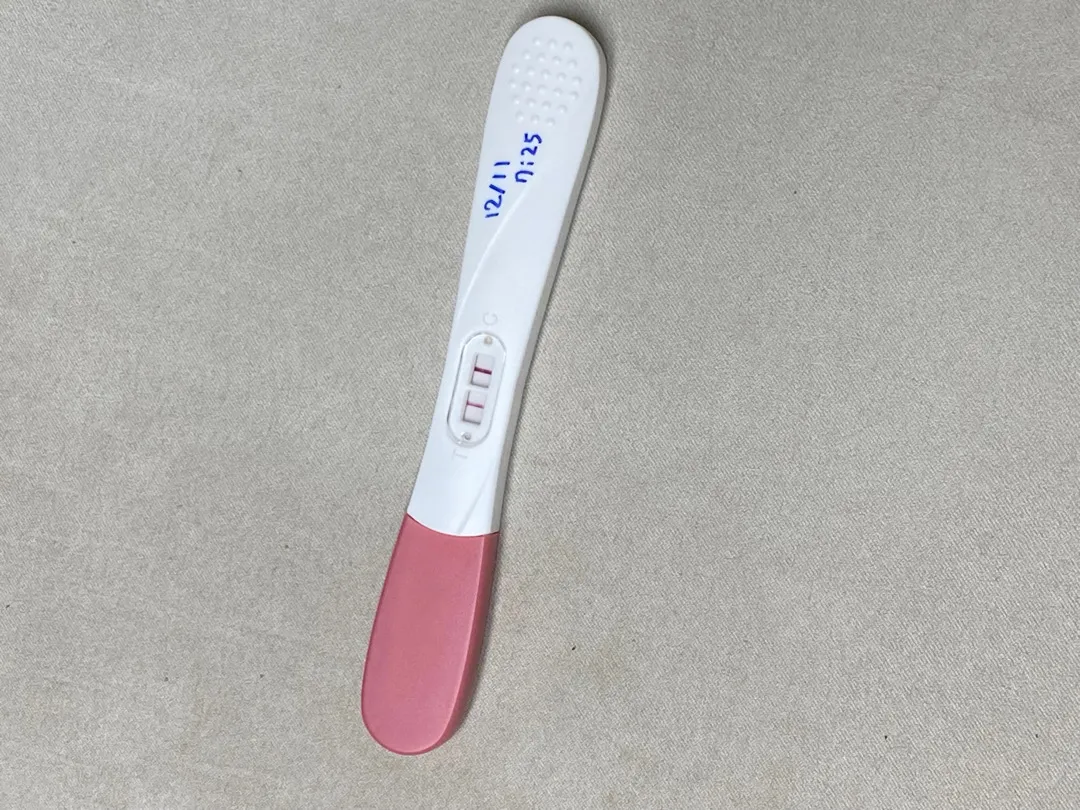초음파 확인