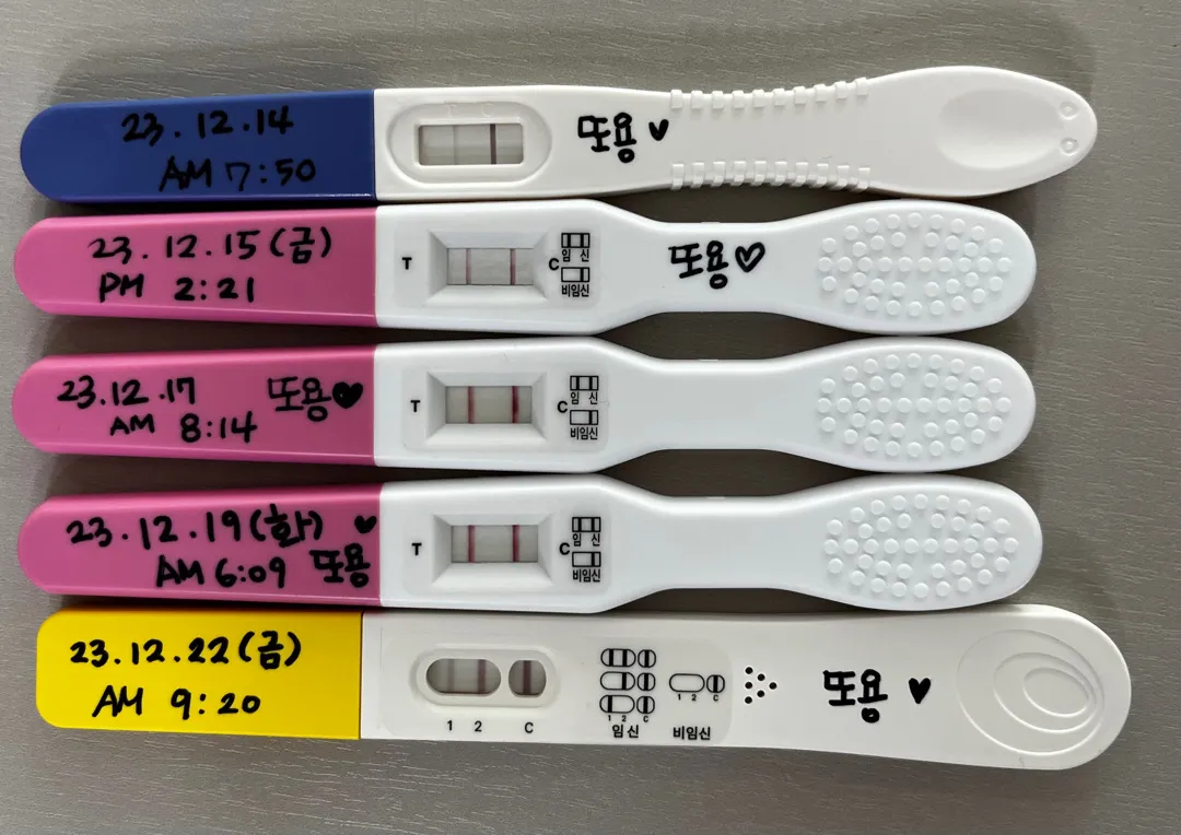 두찌 임신!! 오늘 첫진료 가려고해요^^