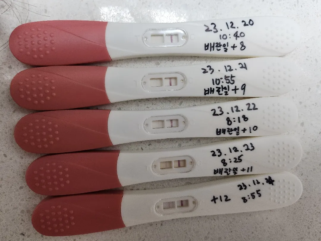 임신 맞을까용,,??