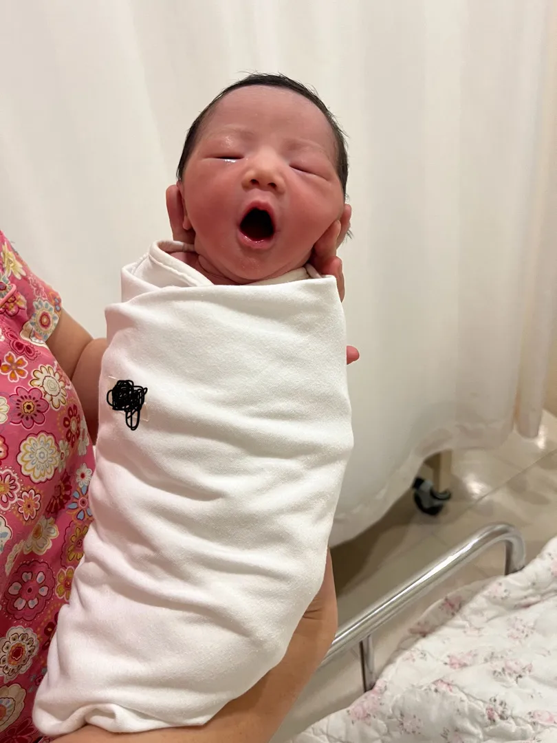 콩닥이 탄생!