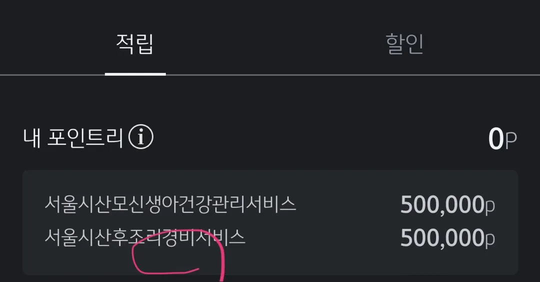 서울시 산후조리경비