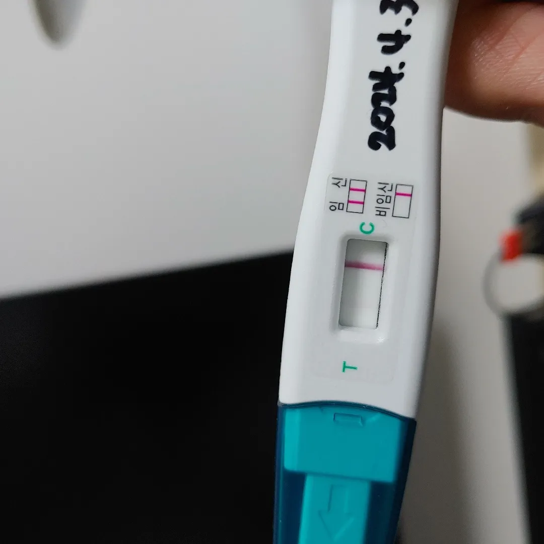 1월 유산이후 재임신