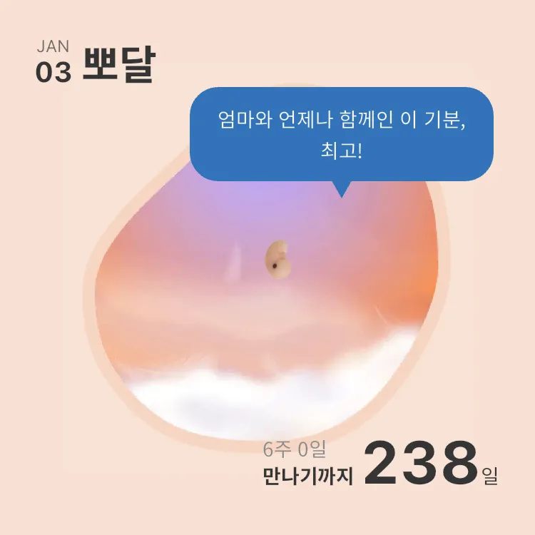 6주차 진입!