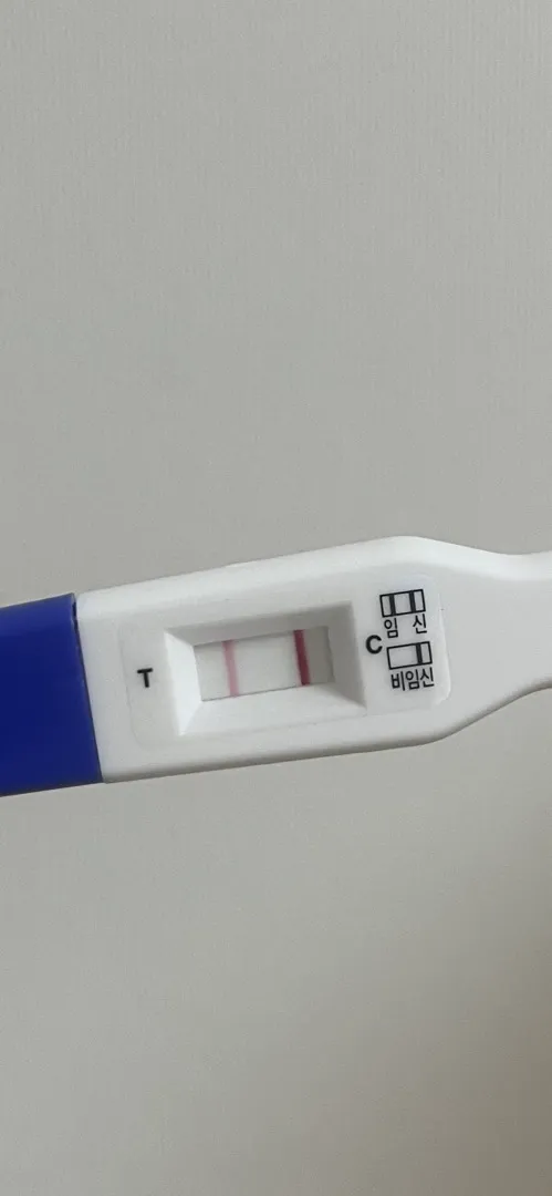 생리 4일전 테스트