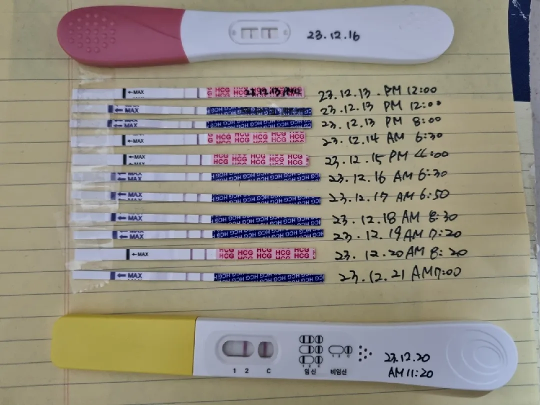 어제 생예정이였는데 딱 이렇게 나왔어요. 파이널체크...