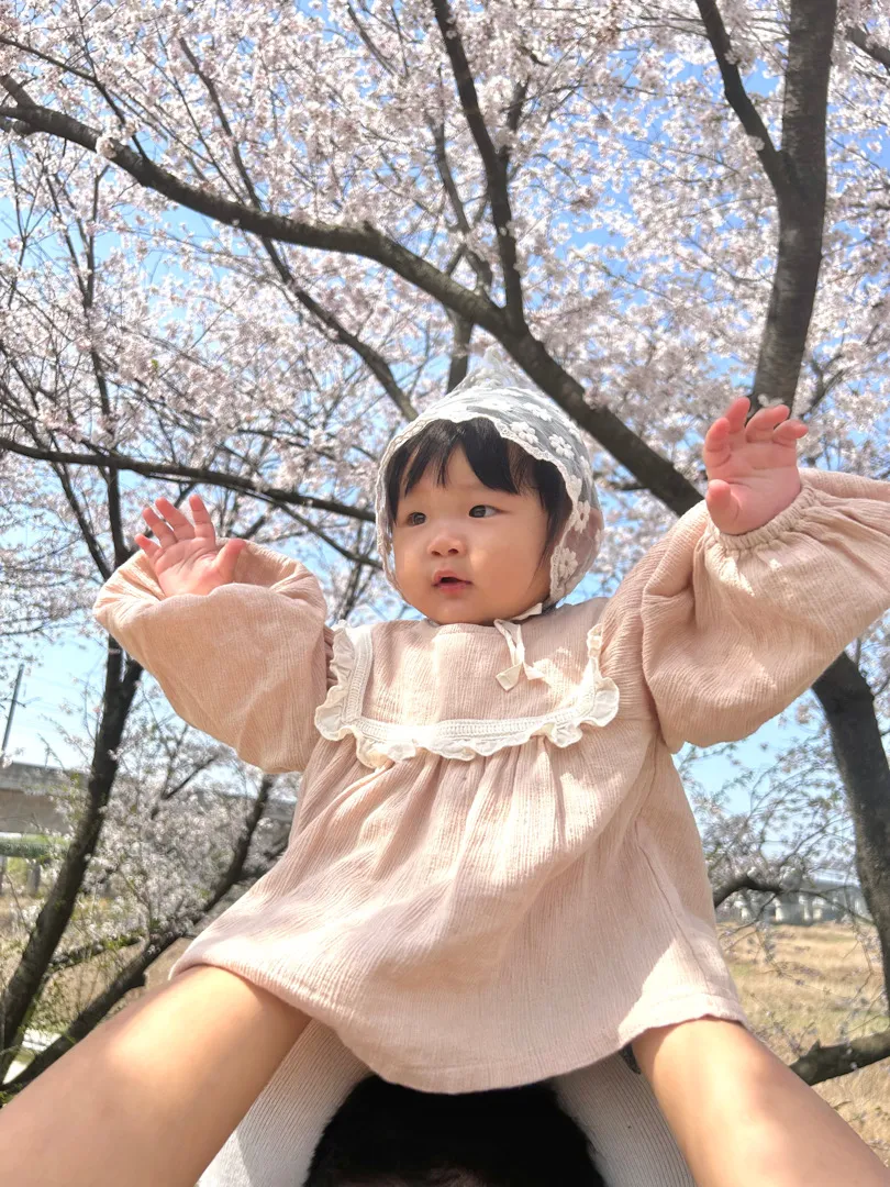 울 공쥬님도 벚꽃샷 성공했어요🌸