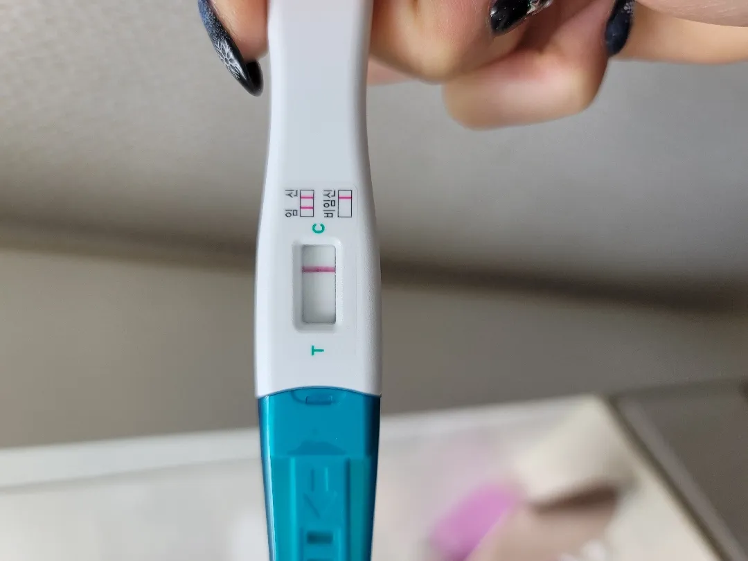 배란 12일차 임테기 진하기...