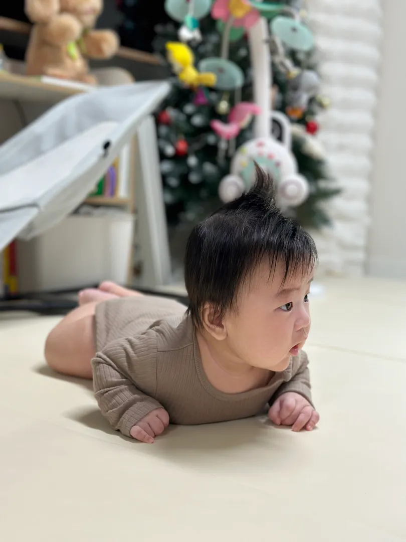 머리빗 추천해주세요!