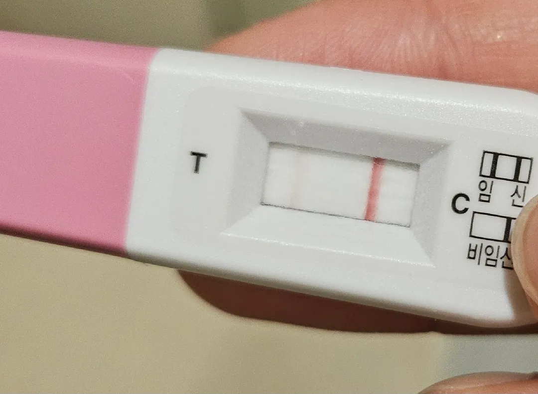 임신이 맞을까요?