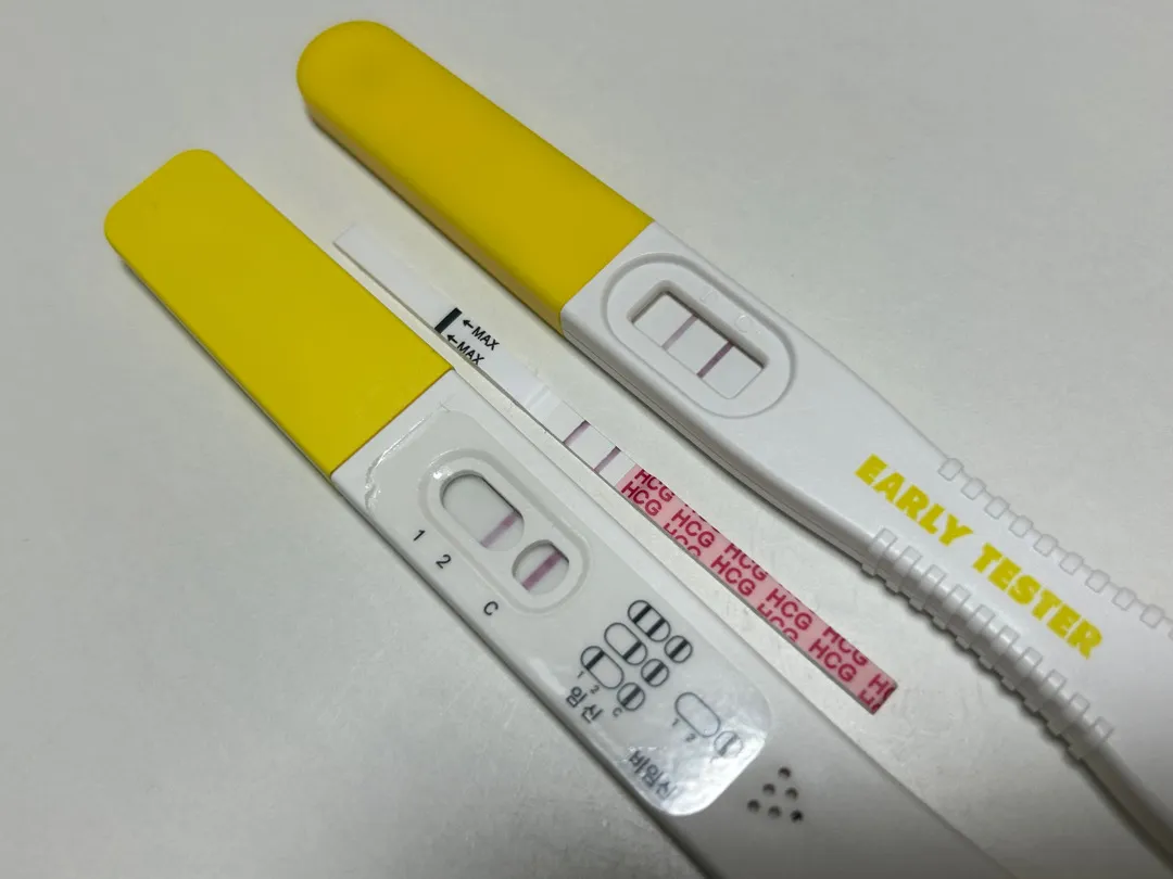 테스트기 봐주세요 ㅜㅜ