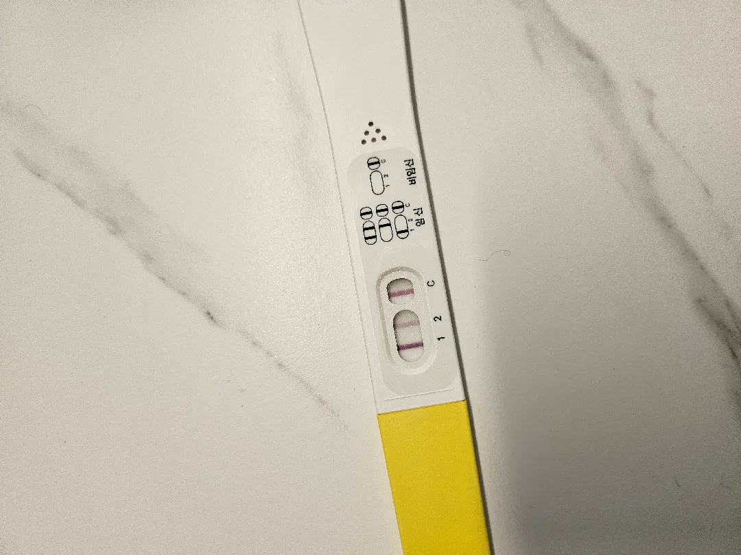 심장소리
