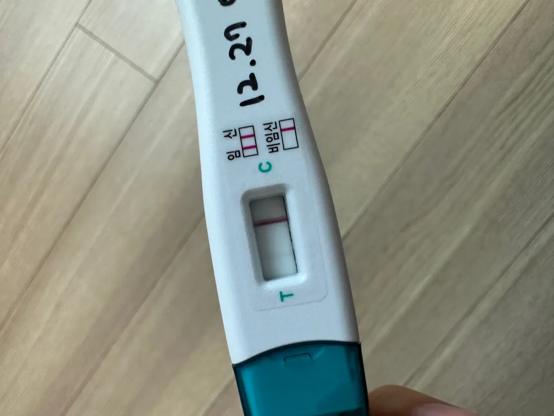 이거 임신인가요?