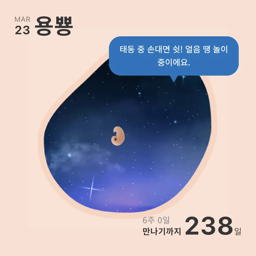 6주 들어왔는데 올챙이 너무 귀엽네옄ㅋㅋ🤭💕