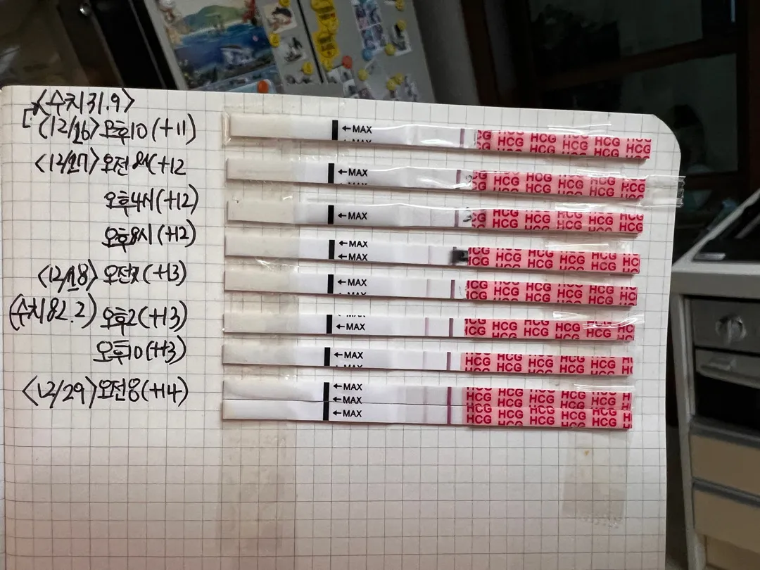 임신이지만 3차피검기다리고있어요!