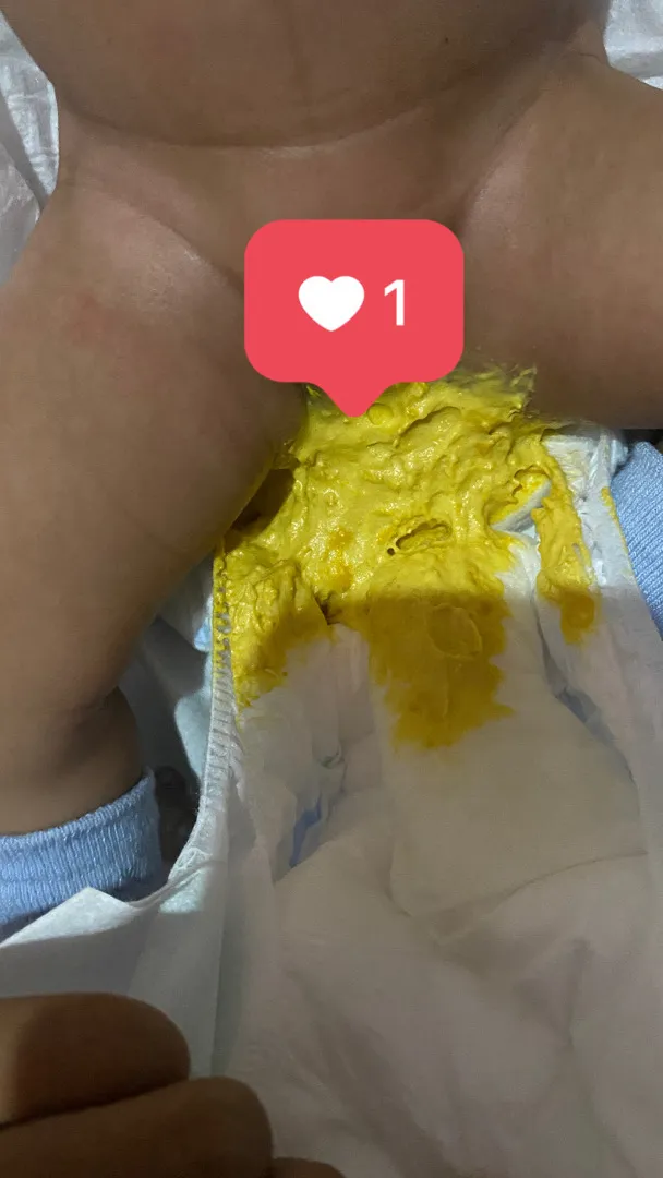 pup bayi