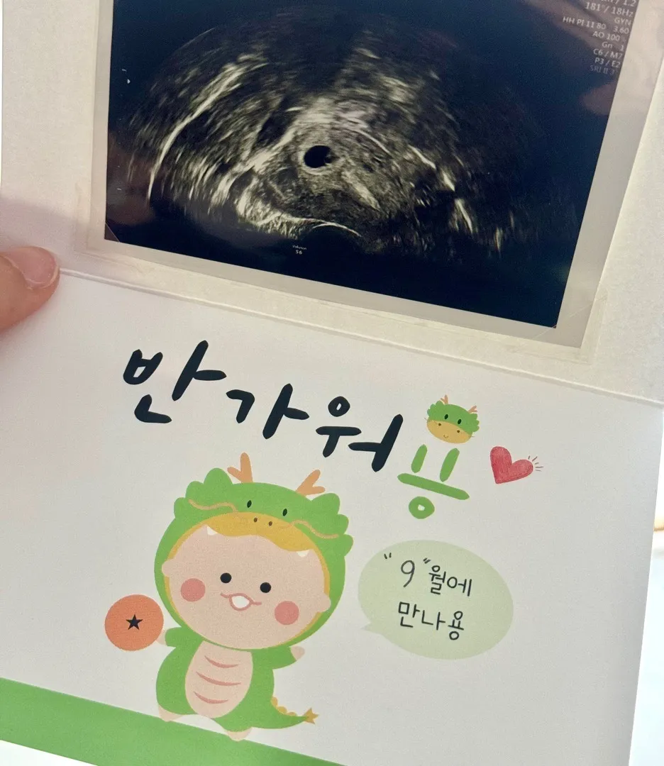 드디어 초음파! 