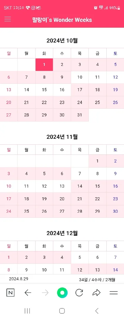 50일차 원더윅스