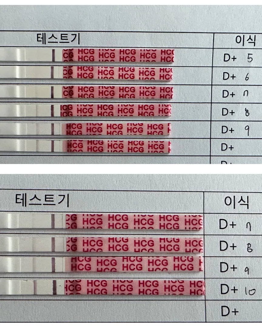 둥이가능성 있을까요