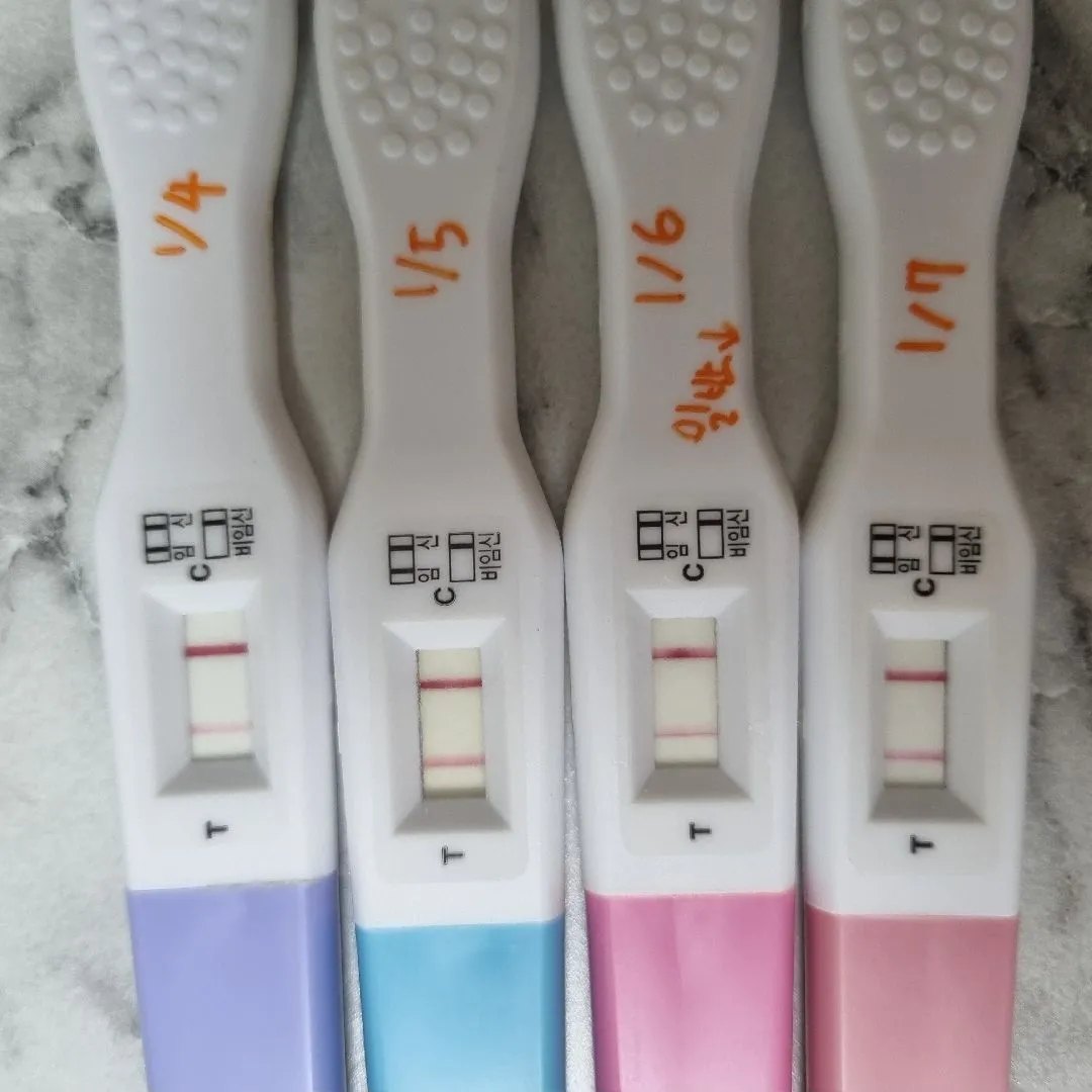 임신 4주 1일 갈색냉...