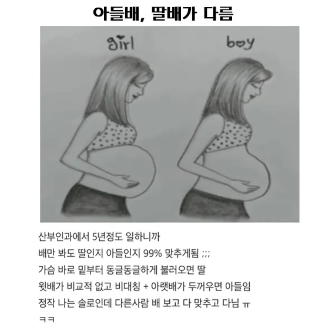 배 모양으로 아들,딸 판단