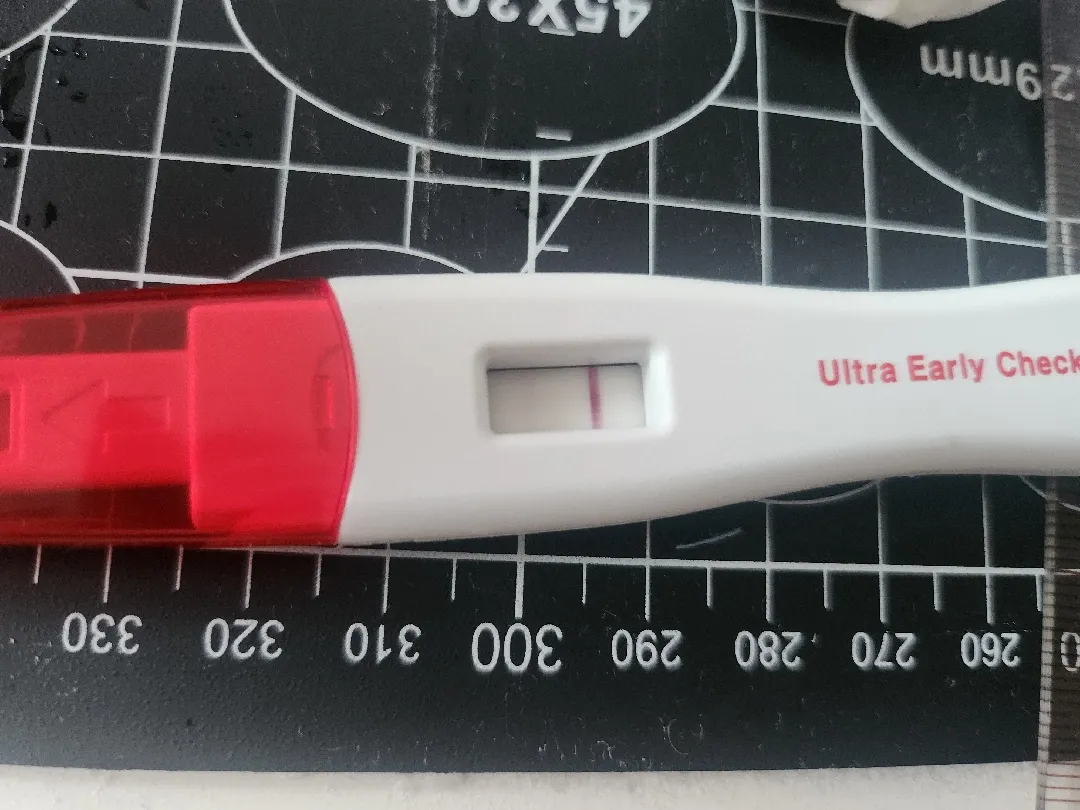 배란 7일차 얼리임테기 2줄인가요?